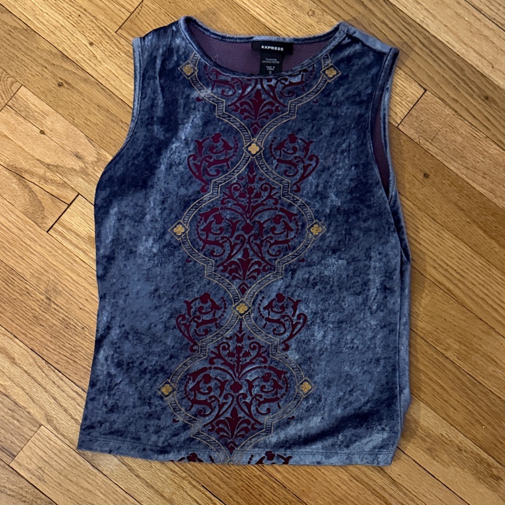 Express Velvet Tank Top in Blue and Red